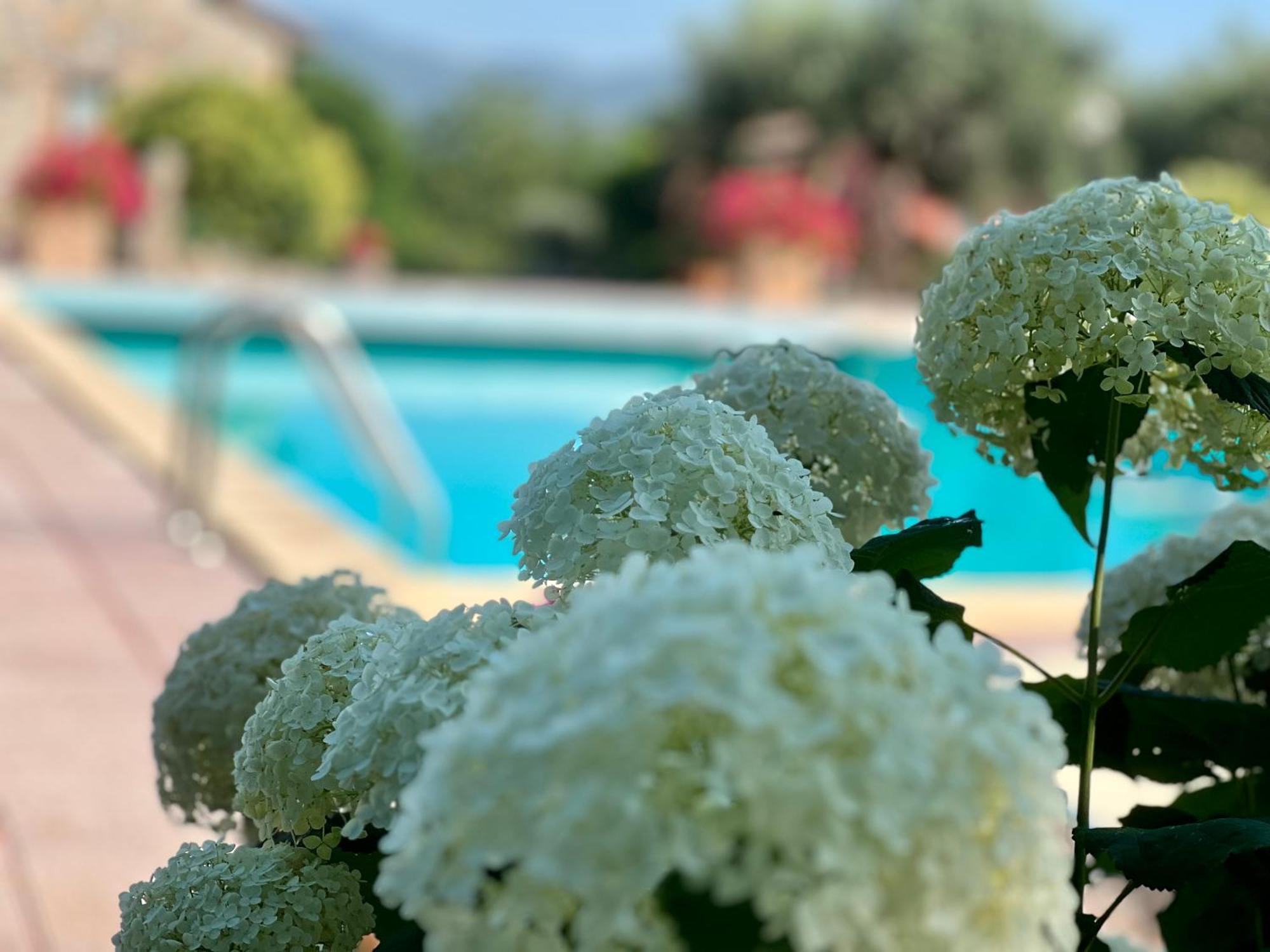 Le Case Di Lisetta Holiday Homes Corciano Ngoại thất bức ảnh