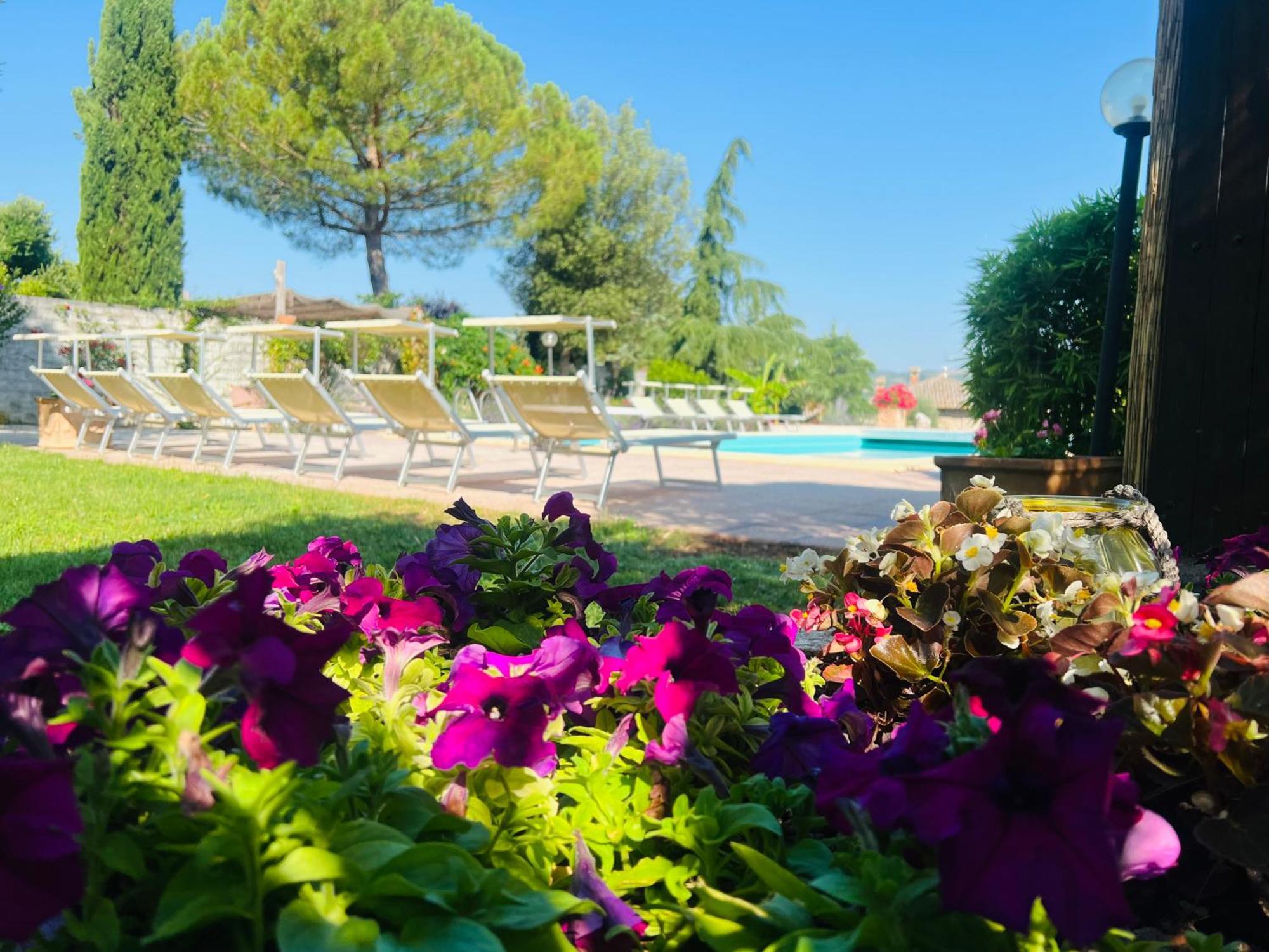 Le Case Di Lisetta Holiday Homes Corciano Ngoại thất bức ảnh