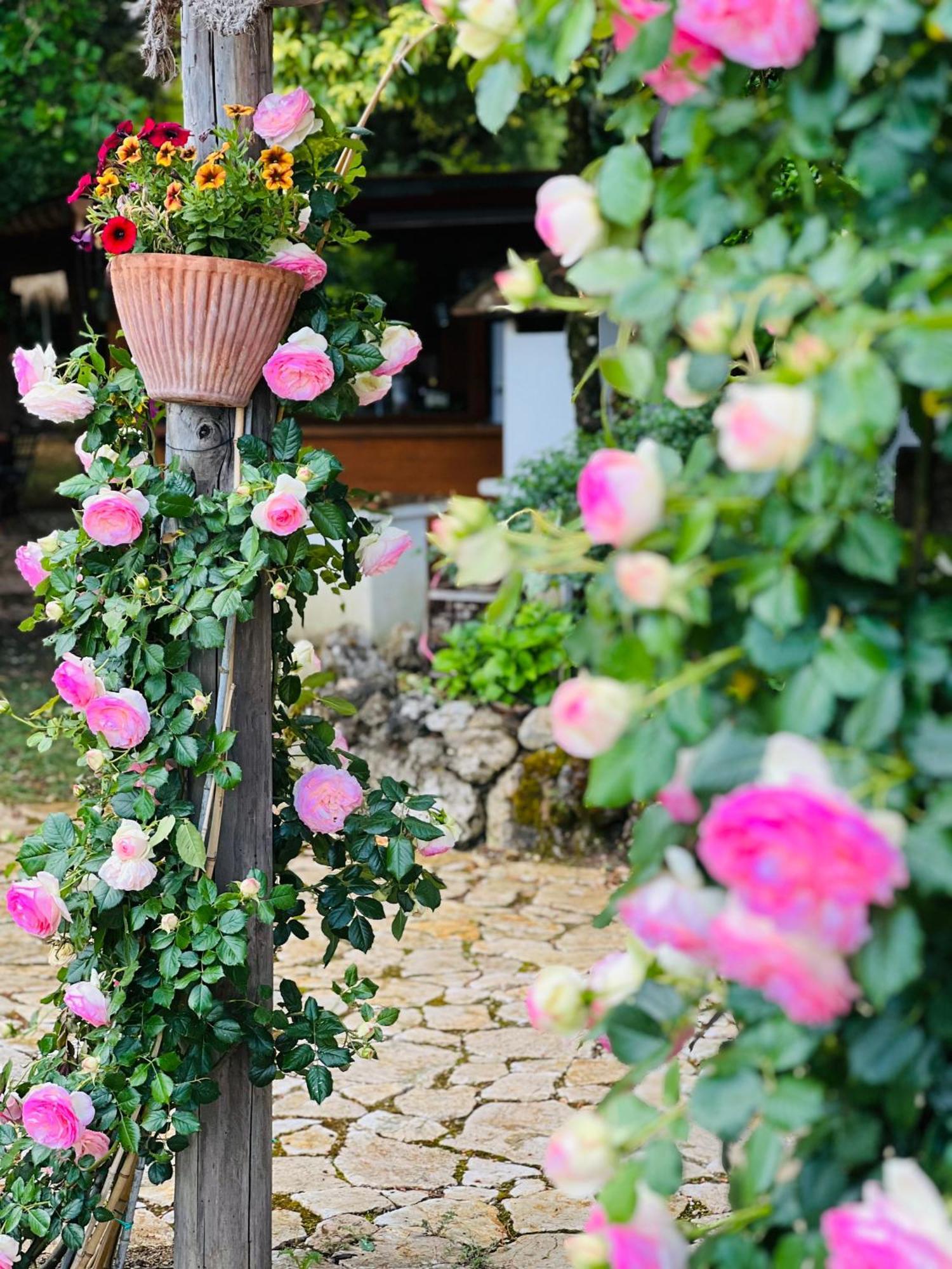 Le Case Di Lisetta Holiday Homes Corciano Ngoại thất bức ảnh