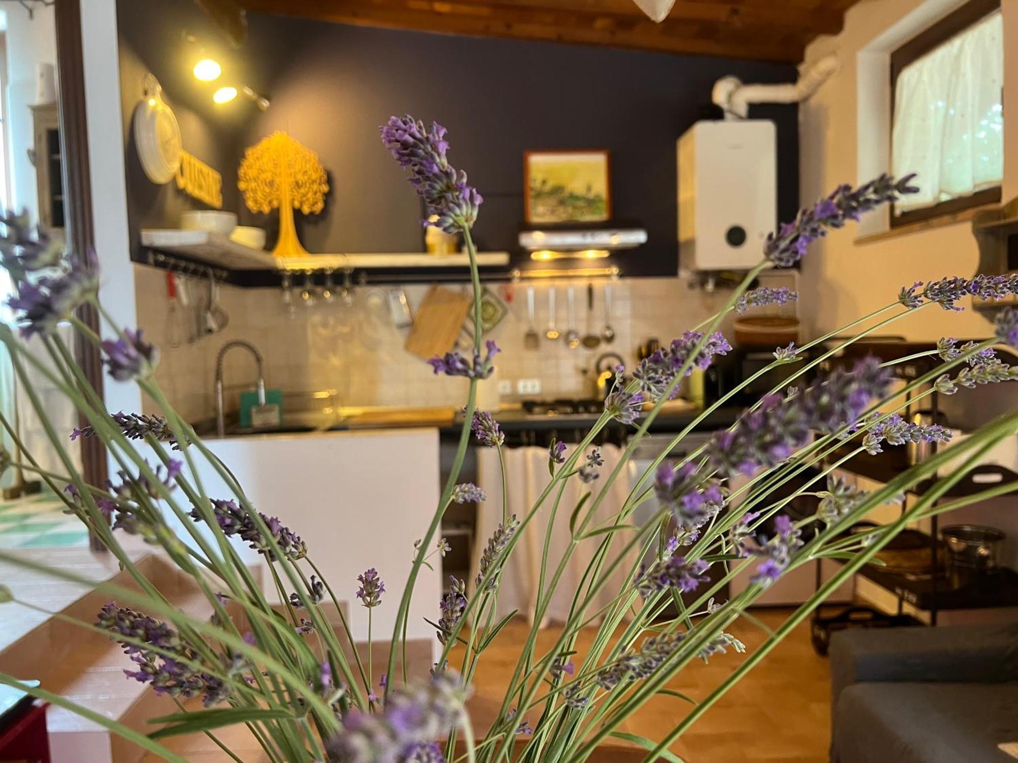 Le Case Di Lisetta Holiday Homes Corciano Ngoại thất bức ảnh