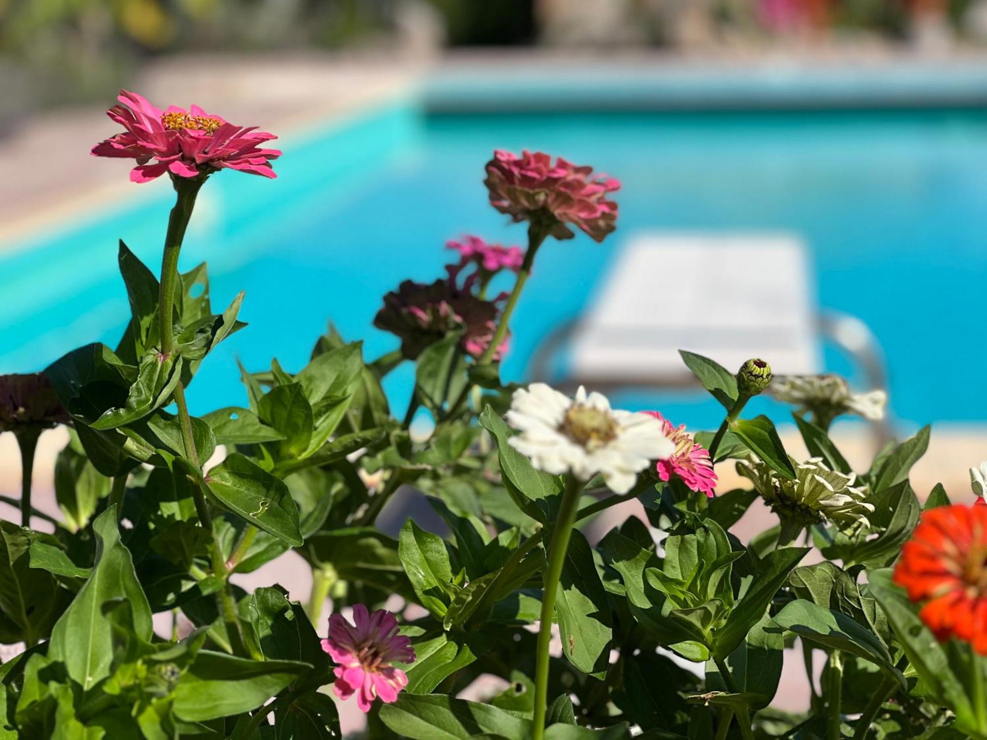 Le Case Di Lisetta Holiday Homes Corciano Ngoại thất bức ảnh