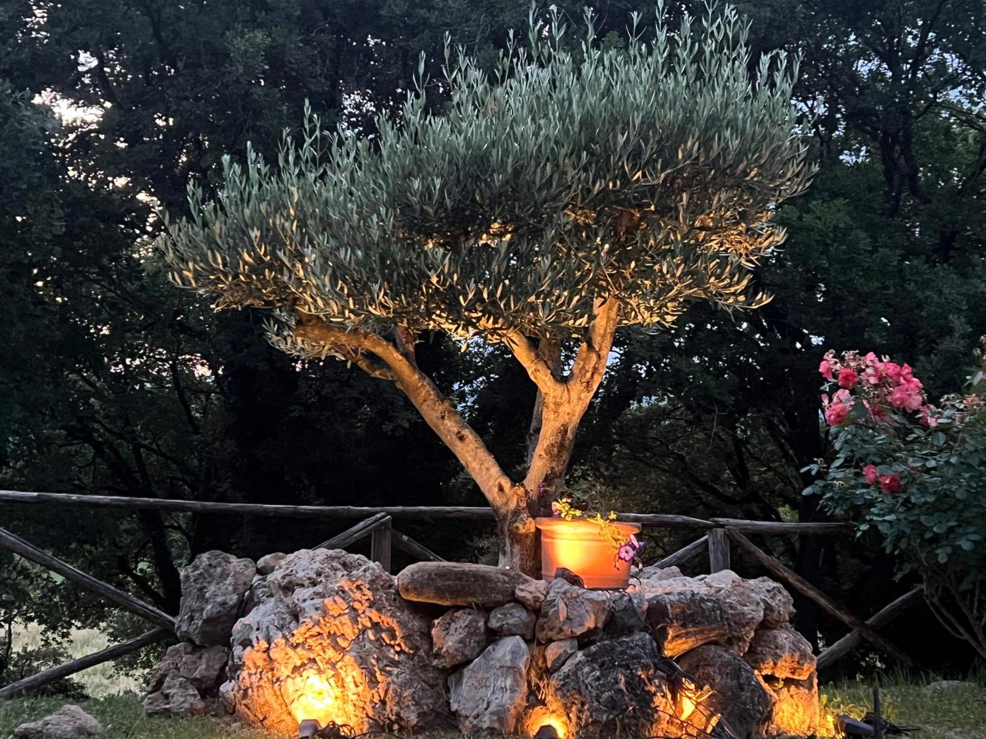 Le Case Di Lisetta Holiday Homes Corciano Ngoại thất bức ảnh